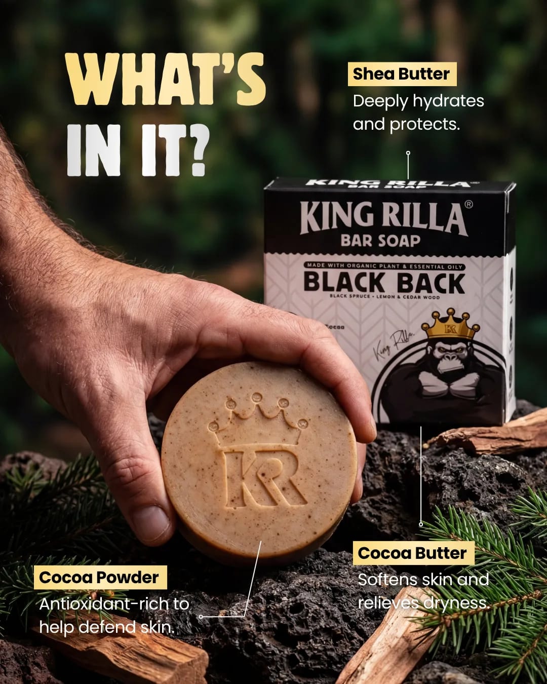 King Rilla, Lifestyle & Wellness social creative